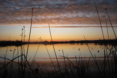 Duck Hunting Wallpapers   Wallpapers Zone