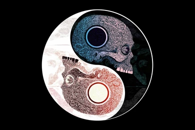 Skulls Yin Yang Symbol Pattern Art On Black Backgrounds