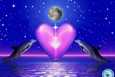 View Dolphins Fantasy Picture Wallpapers In 800x600 Resolution