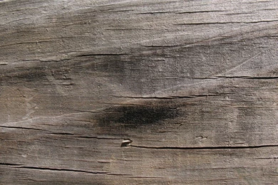 Free Texture Friday – Wood « Stockvault.net Blog