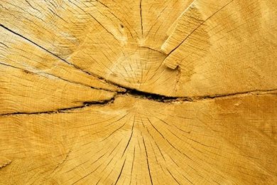 Images Part 35 Dark Brown Backgrounds Textures Free Stock Images ...