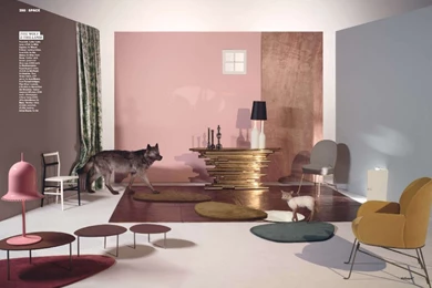 Animal Collective — ERIN WILLIAMSON