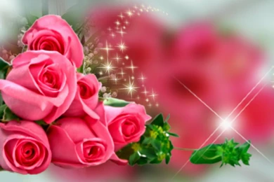 My Pink Valentine   (