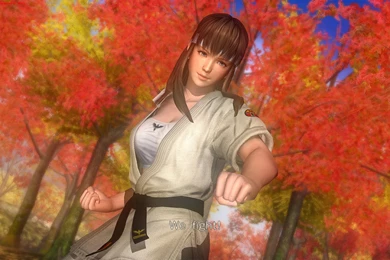 Hitomi Karate Gi By CDAMJC On DeviantArt