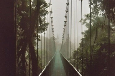 Apple, Background, Colors, Cool, Forest, Freedom, Great, Heart ...