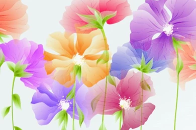 Dainty Spring Flowers Vector Backgrounds   Backgrounds Free Download