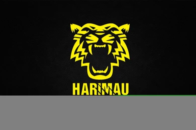 Sports Teams Desktop Wallpapers   Images   Tbwnz.com