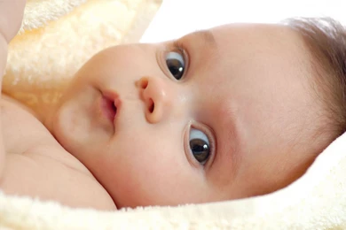 Newborn Baby Photos Free