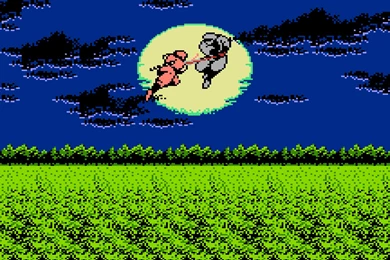 Ninja Gaiden Computer Wallpapers, Desktop Backgrounds