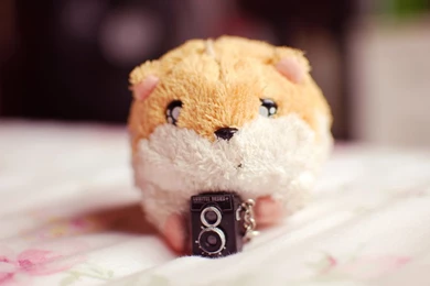 Wallpaper. By Flawless slut On DeviantArt