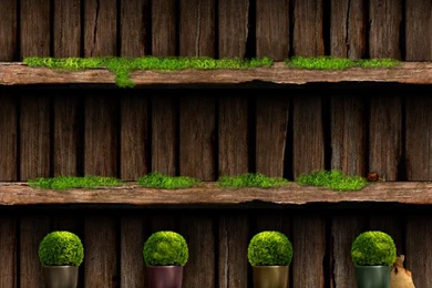 iPhone 4S, 4 Wallpapers   Fresh Touch