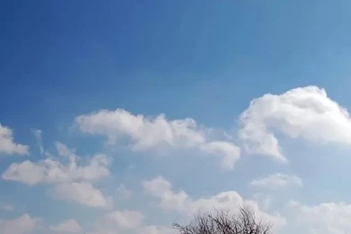 Way To Go Home iPhone 4s Wallpapers Download