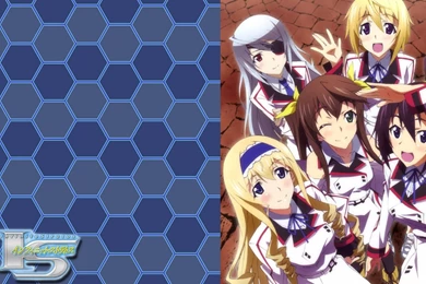 Infinite Stratos Wallpapers   Wallpapers Cave