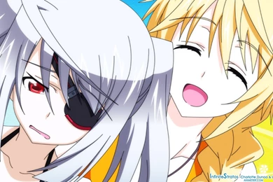 Infinite Stratos Wallpapers By Hirumi09 On DeviantArt