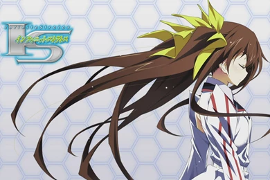 Infinite Stratos Computer Wallpapers, Desktop Backgrounds ...