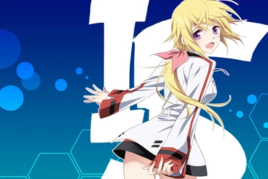 IS: Infinite Stratos Free Wallpapers (114 Photos) For Your Desktop ...