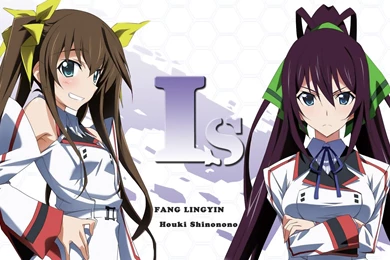 Download Infinite Stratos Wallpapers 1920x1080