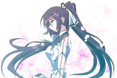 Wallpapers Infinite Stratos Shinonono 1920x1358