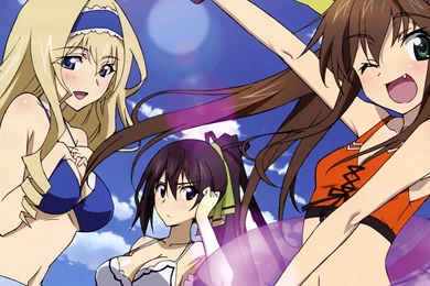 Download Infinite Stratos Wallpapers 2560x1600
