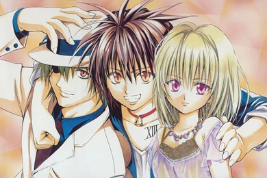 275 Black Cat HD Wallpapers