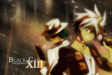 Black Cat Anime Wallpapers HD Download