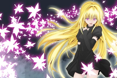 Wallpapers Black Cat Anime Image