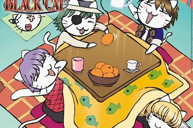 Black Cat   Black Cat Wallpapers (6400957)   Fanpop