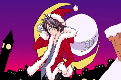 Black Cat Computer Wallpapers, Desktop Backgrounds