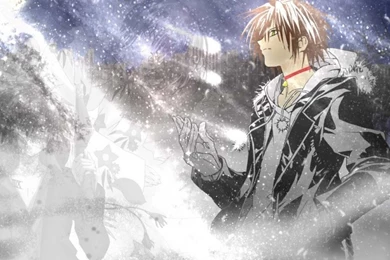 Best Wallpapers Lattes: Cat Wallpapers