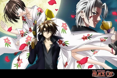 Black Cat Fan Club   Zincview