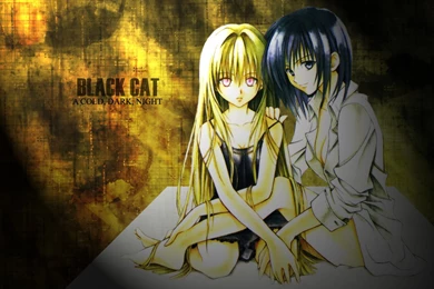 Wallpapers Black Cat Anime Image