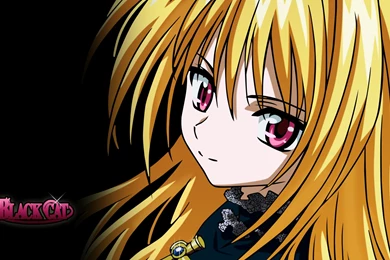 Black Cat, Black Cat Wallpapers, Desktop Wallpapers