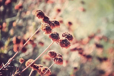 Vintage Landscape By Ricracer On DeviantArt