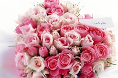 Valentine Screensavers Wallpapers 2015   Grasscloth Wallpapers