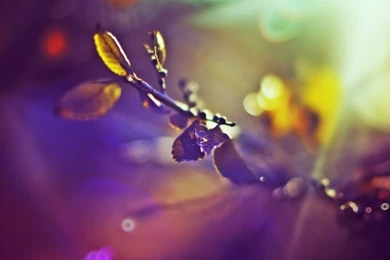 Ice Snow Winter Landscapes 1600x1200 Wallpapers – Nature Winter HD ...