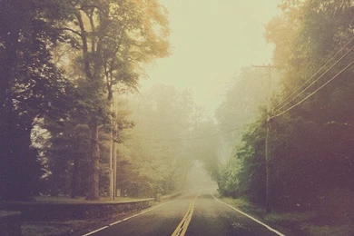 Art, Background, Beautiful, Dark, Dream, Dreamy, Fog, Foggy ...