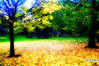 Top Downloaded Wallpapers   HD Desktop Backgrounds   Page 47