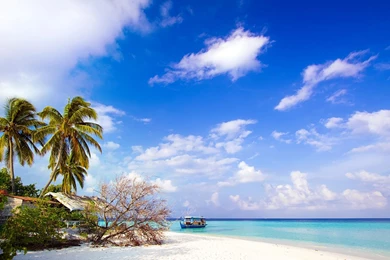 HD Widescreen Beach Side wallpaper hd wallpaper 1920x1080 2 50641e088b575 6797.jpg