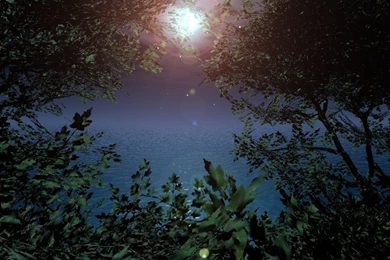 Glimpse Of Ocean At Night By AprilUofA On DeviantArt