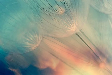 Huawei Ascend G510 Wallpapers On Pinterest