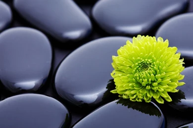 Huawei Mediapad 10 Fhd   Page 16