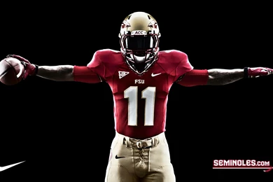 Seminoles Wallpapers   Wallpapers Zone