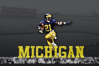 Michigan Wallpapers
