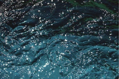 Iphone 6 Plus Wallpapers