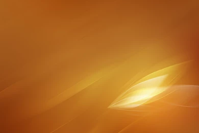 72 Orange HD Wallpapers
