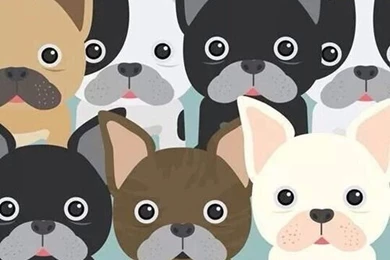 Background, Backgrounds, Fashion, Iphone, Wallpapers   Image ...