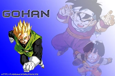 Gohan Wallpapers (Dbz Gohan's Force)