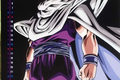 Dragon Ball Z Wallpapers Gohan