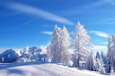 Snow Scenes Desktop Wallpapers In HD