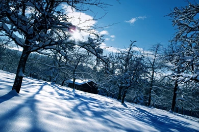 Winter Computer Wallpapers, Desktop Backgrounds